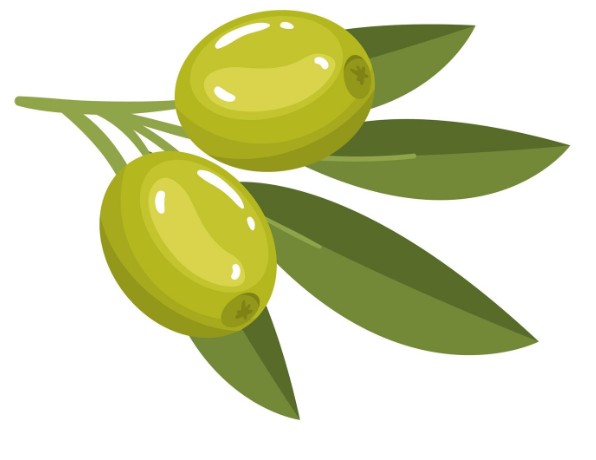 Letvine Letvine